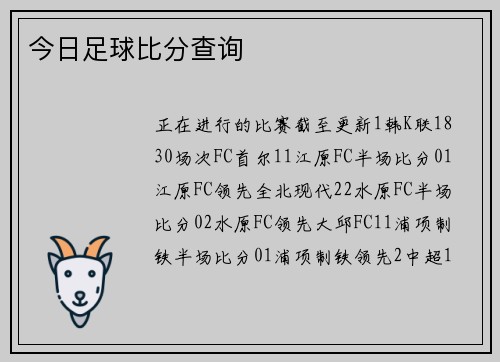今日足球比分查询
